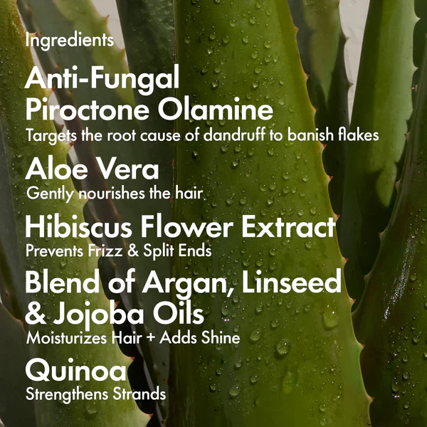 Bondi Boost Dandruff Conditioner 300ml - Image 3