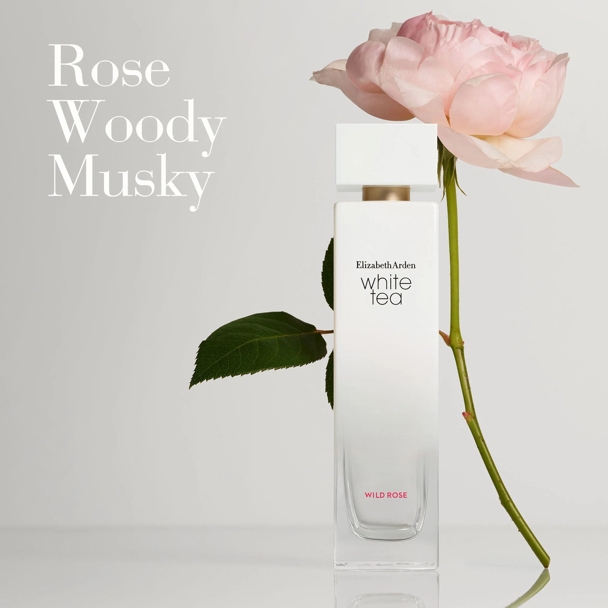 Elizabeth Arden White Tea Wild Rose EDT 100ml - Image 3
