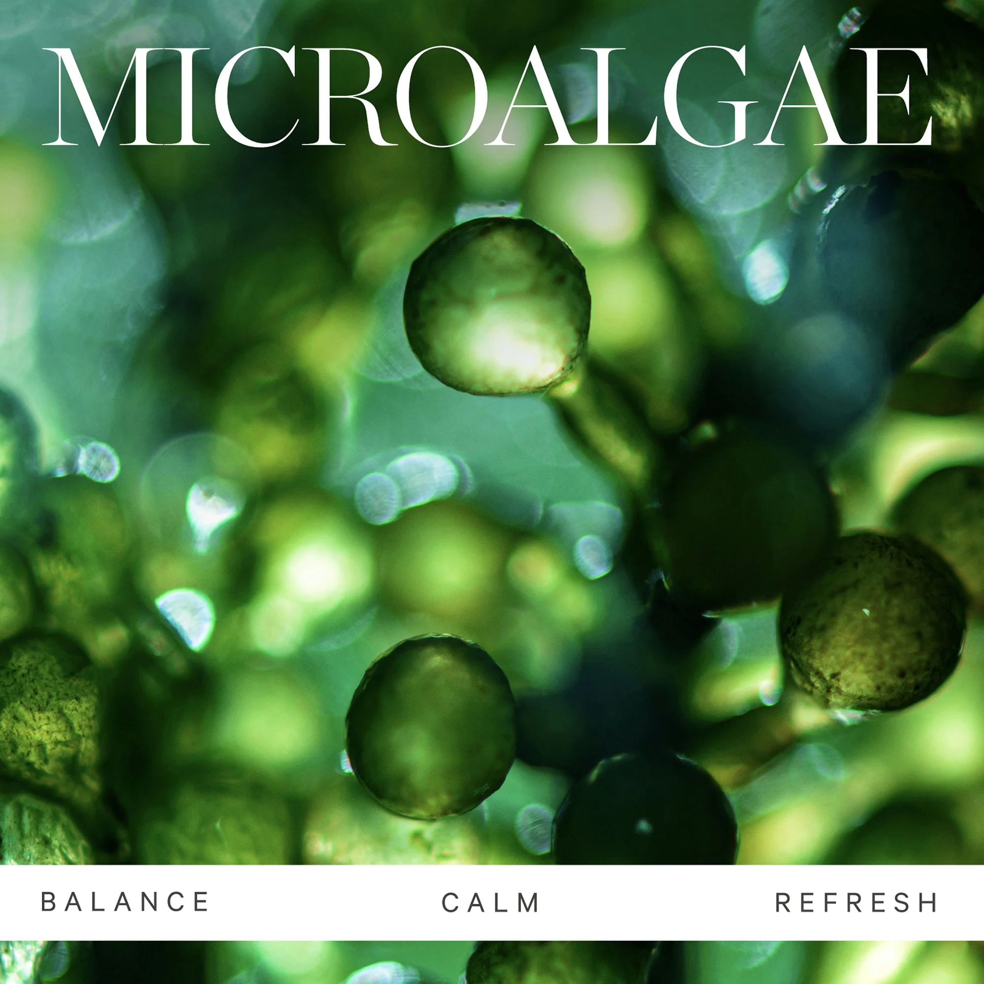 KORA Organics Active Algae Calming Cleansing Balm 100g - Image 5