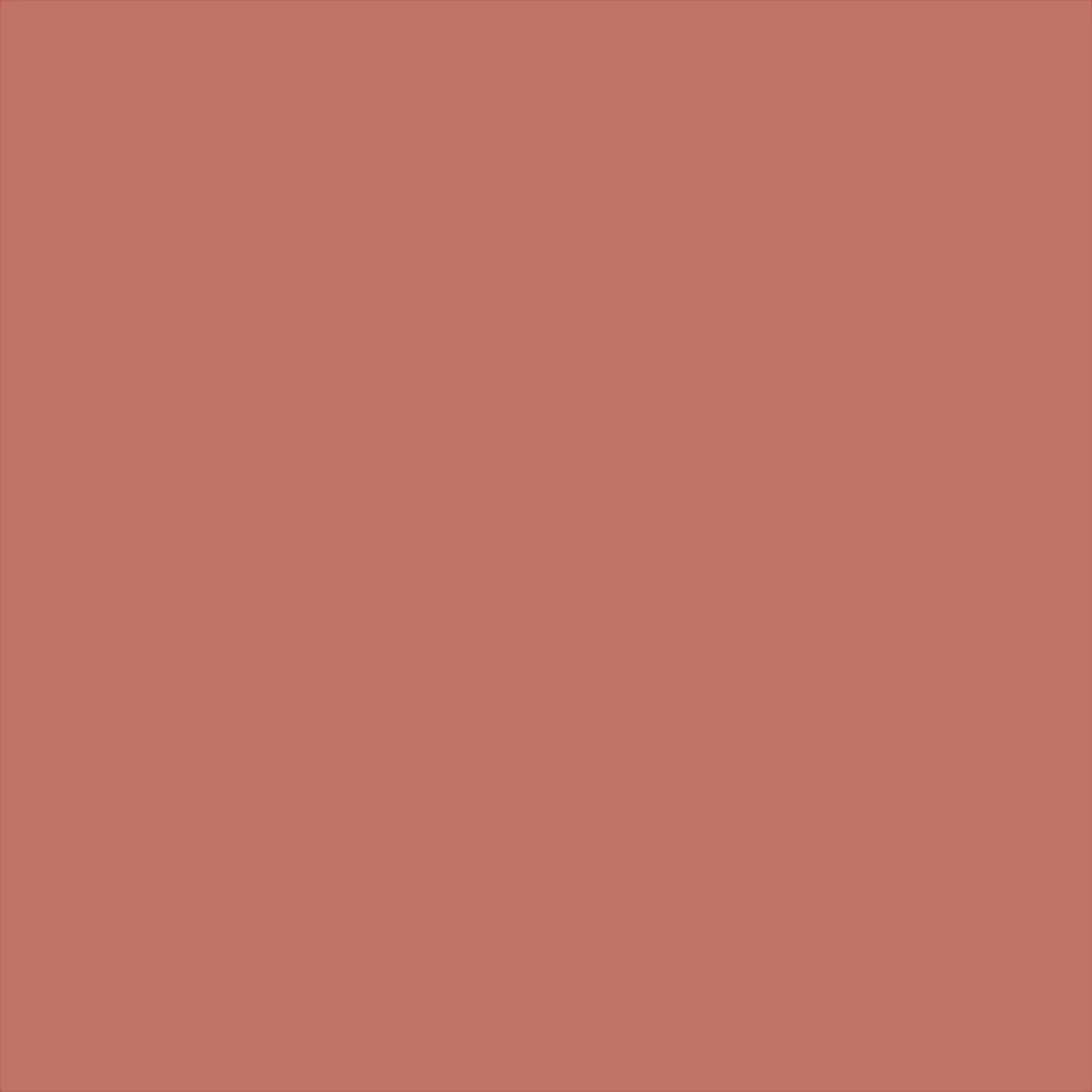 L'Oréal Paris Colour Riche Natural Lip Colour 5ml (Various Shades) - Image 6