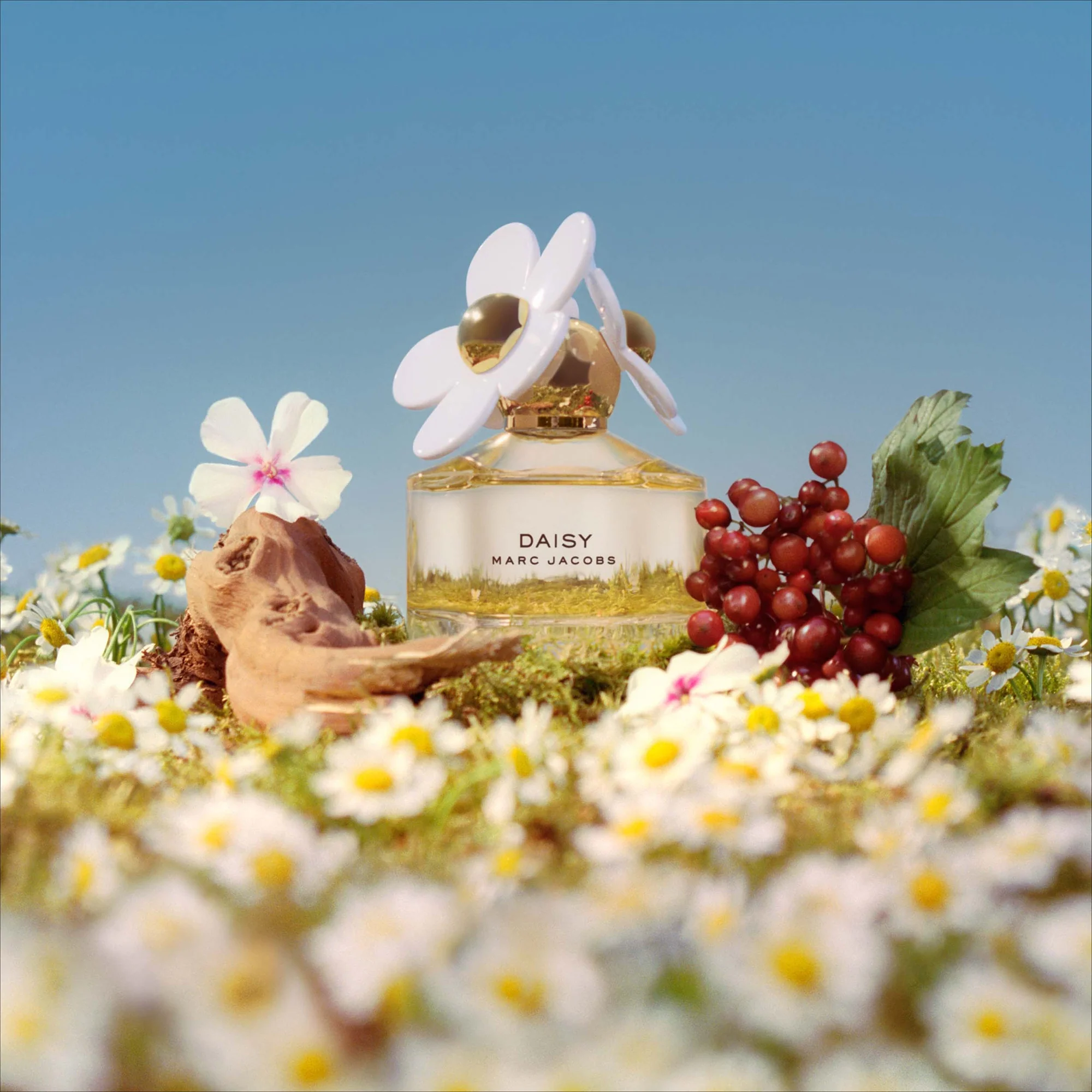 Marc Jacobs Daisy Eau de Toilette 30ml - Image 3