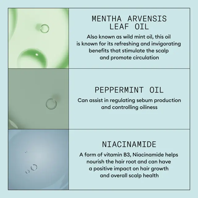 Nioxin Scalp Recovery System Kit - Image 4