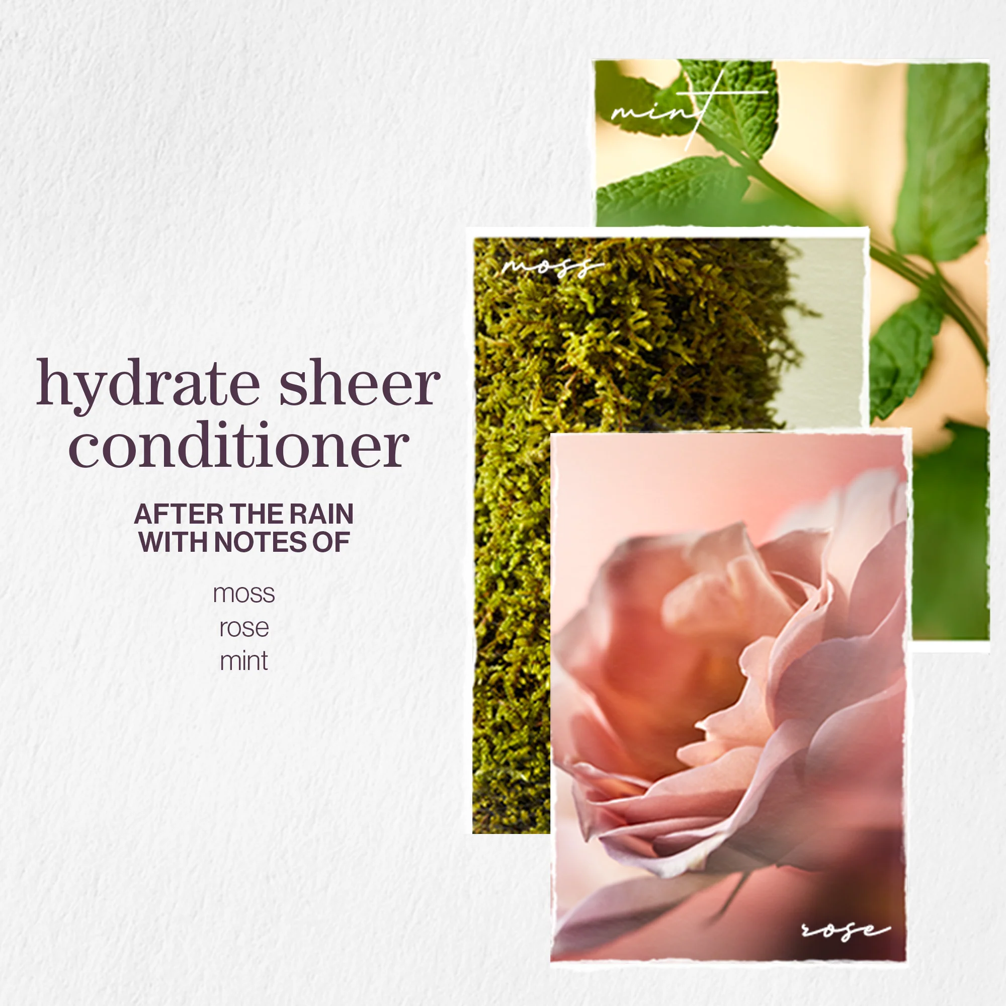 Pureology Hydrate Sheer Conditioner 266ml - Image 3