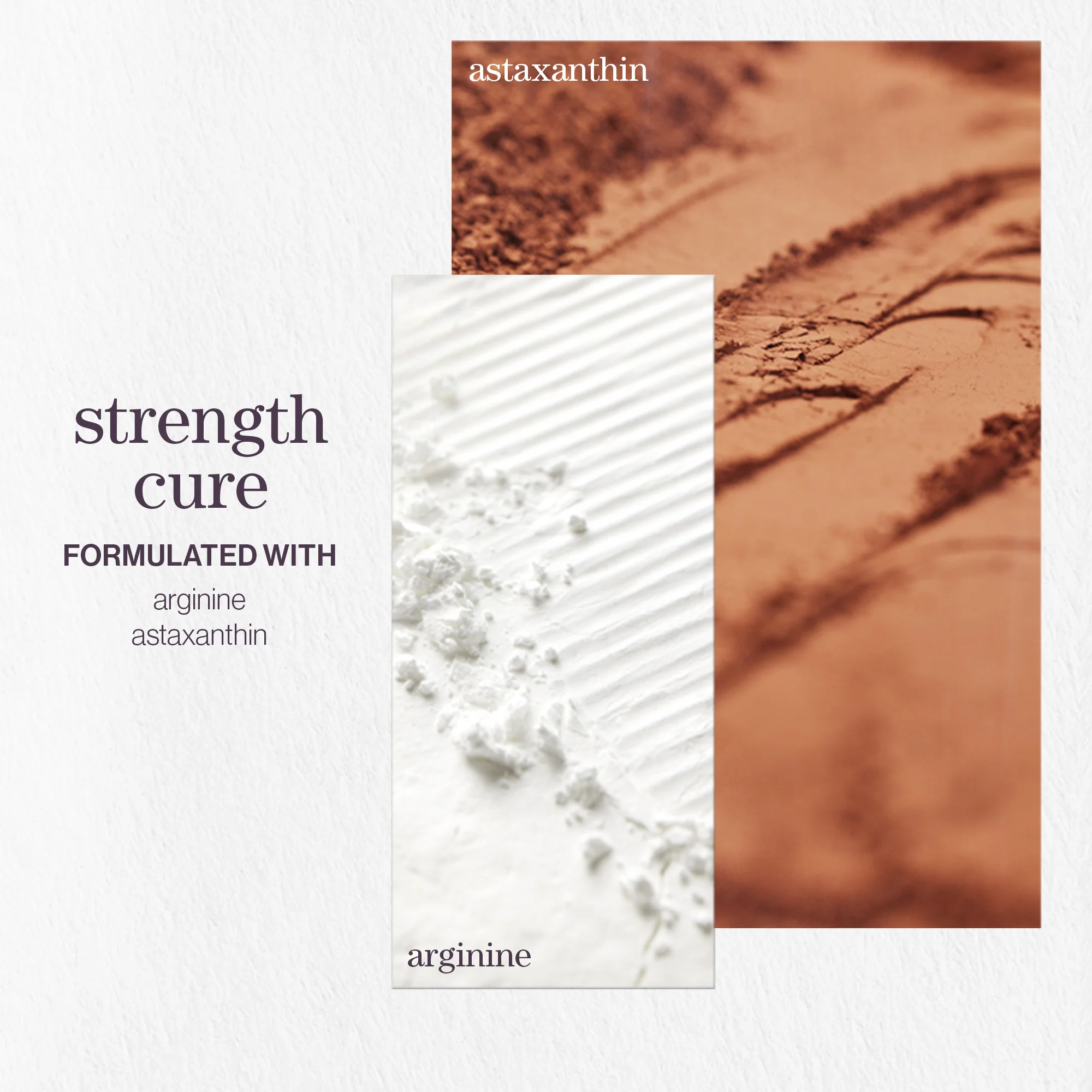 Pureology Strength Cure Shampoo 266ml - Image 3